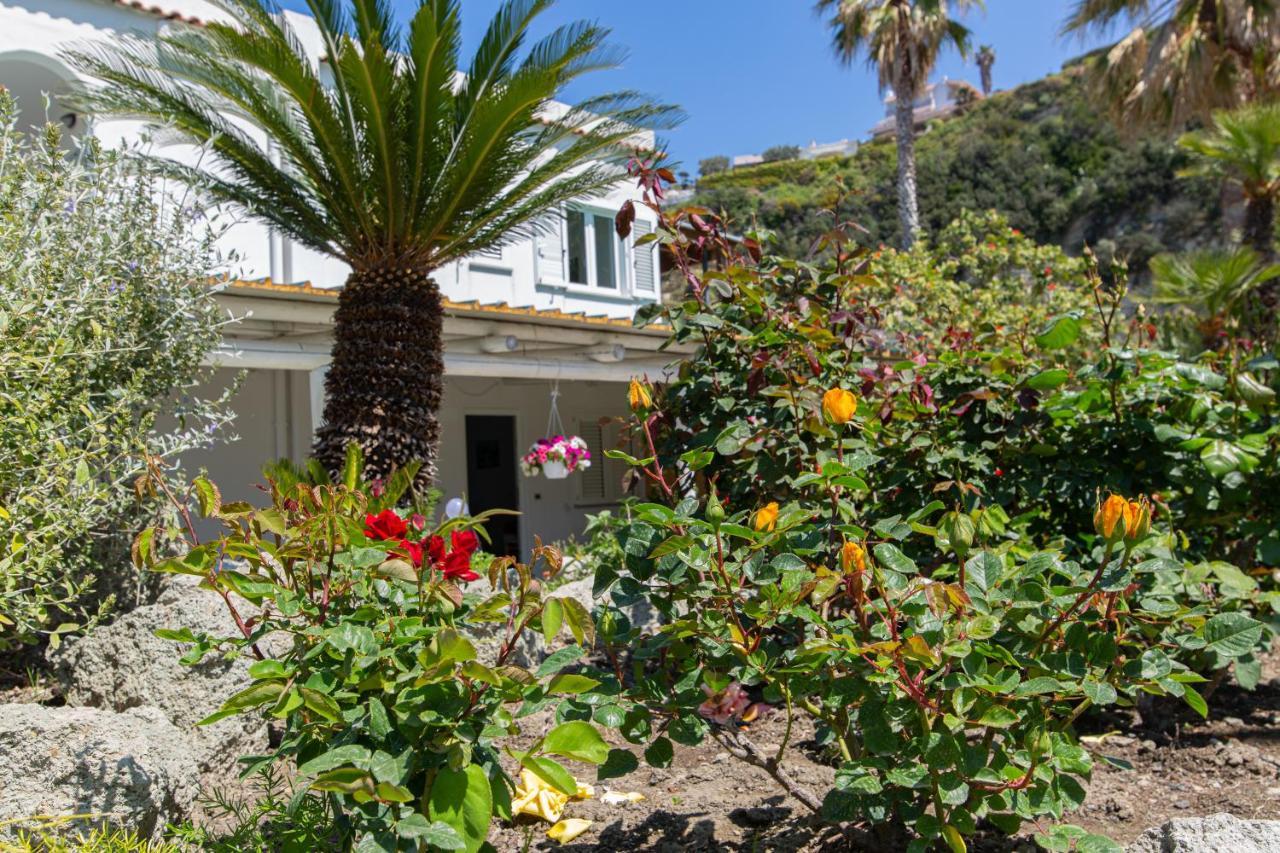 Villa Al Mare - Famiglia Calise Forio  Exterior photo